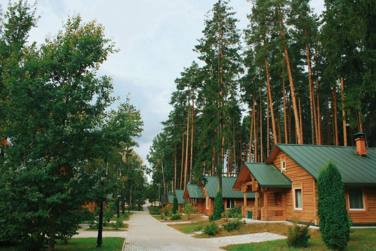 Green Park Hotel Airport Minsk Silichi Esterno foto