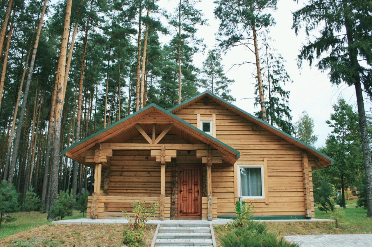 Green Park Hotel Airport Minsk Silichi Esterno foto